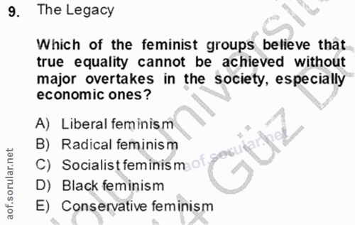 9. soru: The Legacy Which of the feminist groups believe that true equality cannot be achieved without major overtakes in the…
