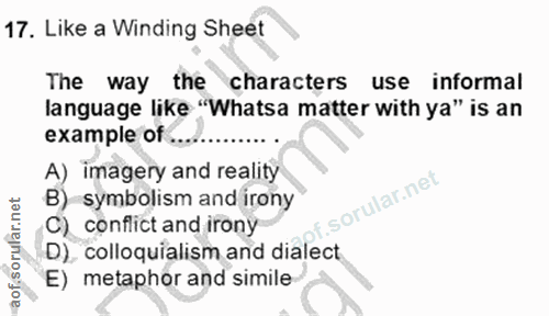 17. soru: Like a Winding Sheet The way the characters use informal language like "Whatsa matter with ya" is an example of. A) i…