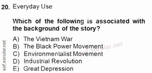 20. soru: Everyday Use Which of the following is associated with the background of the story? A) The Vietnam War B) The Black P…