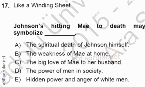 17. soru: Like a Winding Sheet Johnson's hitting Mae to death may symbolize A) The spiritual death of Johnson himself. B) The w…