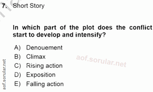 7. soru: Short Story In which part of the plot does the conflict start to develop and intensify? A) Denouement B) Climax rular…