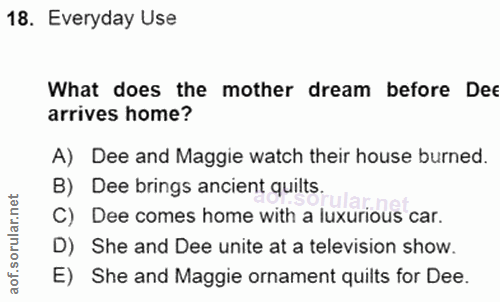 18. soru: Everyday Use What does the mother dream before Dee arrives home? A) Dee and Maggie watch their house burned. B) Dee b…