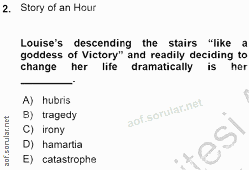 2. soru: Story of an Hour Louise's descending the stairs "like a goddess of Victory" and readily deciding to change her life d…