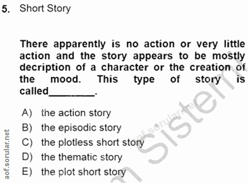 5. soru: Short Story There apparently is no action or very little action and the story appears to be mostly decription of a ch…
