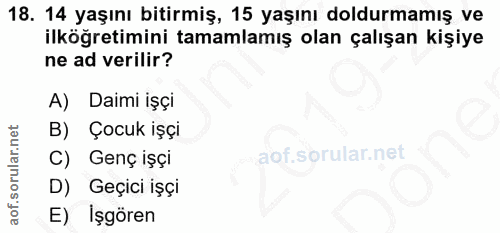 18. soru: 14 yaşını bitirmiş, 15 yaşını doldurmamış ve ilköğretimini tamamlamış olan çalışan kişiye ne ad verilir? A) Daimi işç…