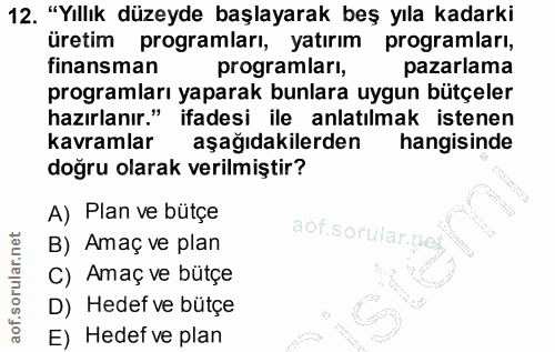 12. soru: "Yıllık düzeyde başlayarak beş yıla kadarki üretim programları, yatırım programları, finansman programlari, pazarlama…