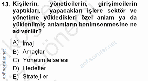 13. soru: Kişilerin, yöneticilerin, girişimcilerin yaptıkları, yapacakları işlere sektör ve yönetime yükledikleri özel anlam ya…