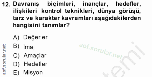 12. soru: Davranış biçimleri, inançlar, hedefler, ilişkileri kontrol teknikleri, dünya görüşü, tarz ve karakter kavramları aşağ…