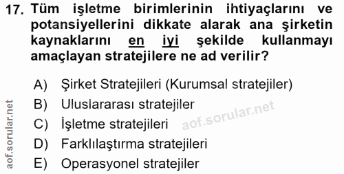 17. soru: Tüm işletme birimlerinin ihtiyaçlarını ve potansiyellerini dikkate alarak ana şirketin kaynaklarını en iyi şekilde ku…