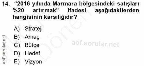 14. soru: "2016 yılında Marmara bölgesindeki satışları %20 artırmak" ifadesi aşağıdakilerden hangisinin karşılığıdır? A) Strate…