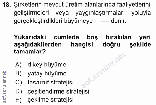 18. soru: Şirketlerin mevcut üretim alanlarında faaliyetlerini geliştirmeleri veya yaygınlaştırmaları yoluyla gerçekleştirdikle…