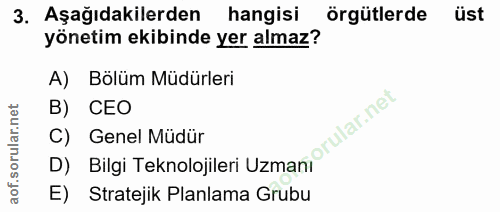 3. soru: Aşağıdakilerden hangisi örgütlerde üst yönetim ekibinde yer almaz? A) Bölüm Müdürleri B) CEO ular.net C) Genel Müdür…
