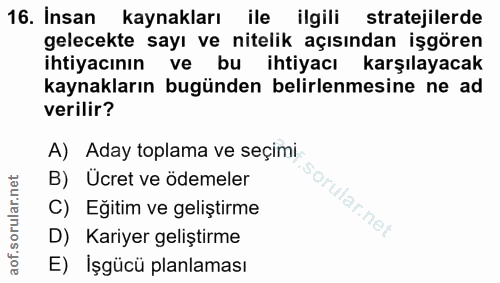 16. soru: İnsan kaynakları ile ilgili stratejilerde gelecekte sayı ve nitelik açısından işgören ihtiyacının ve bu ihtiyacı karş…