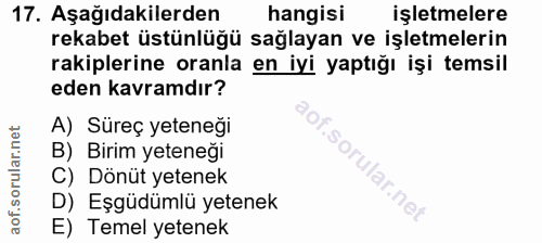 17. soru: Aşağıdakilerden hangisı işletmelere rekabet üstünlüğü sağlayan ve işletmelerin rakiplerine oranla en iyi yaptığı işi…