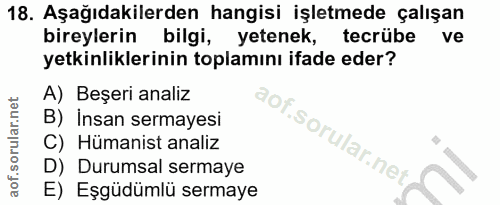 18. soru: Aşağıdakilerden hangisi işletmede çalışan bireylerin bilgi, yetenek, tecrübe ve yetkinliklerinin toplamını ifade eder…