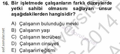16. soru: Bir işletmede çalışanların farklı düzeylerde yetki sahibi olmasini sağlayan unsur aşağıdakilerden hangisidir? A) Çalı…