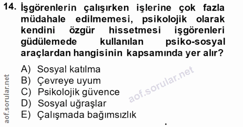 14. soru: Işgörenlerin çalışırken işlerine çok fazla müdahale edilmemesi, psikolojik olarak kendini özgür hissetmesi işgörenler…