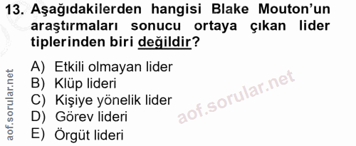 13. soru: Aşağıdakilerden hangisi Blake Mouton'un araştırmaları sonucu ortaya çıkan lider tiplerinden biri değildir? A) Etkili…
