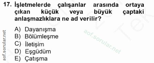 17. soru: İşletmelerde çalışanlar arasında ortaya çıkan küçük veya büyük çaptaki anlaşmazlıklara ne ad verilir? A) Dayanışma B)…