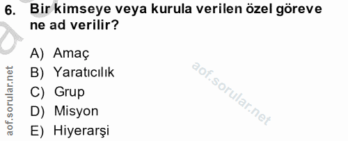 6. soru: Bir kimseye veya kurula verilen özel göreve ne ad verilir? A) Amaç B) Yaratıcılık C) Grup D) Misyon E) Hiyerarşi