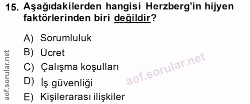 15. soru: Aşağıdakilerden hangisi Herzberg'in hijyen faktörlerinden biri değildir? A) Sorumluluk B) Ücret C) Çalışma koşulları…