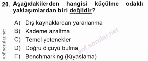 20. soru: Aşağıdakilerden hangisi küçülme odaklı yaklaşımlardan biri değildir? A)Dış kaynaklardan yararlanma B) Kademe azaltma…