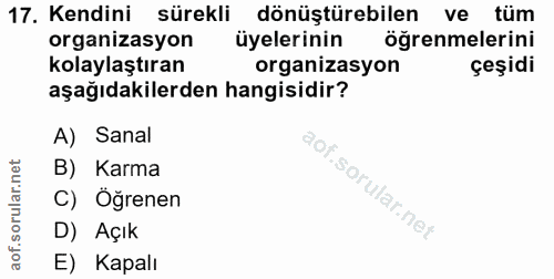 17. soru: Kendini sürekli dönüştürebilen ve tüm organizasyon üyelerinin öğrenmelerini kolaylaştıran organizasyon çeşidi aşağıda…