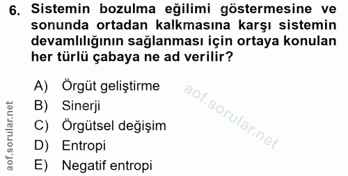 6. soru: Sistemin bozulma eğilimi göstermesine ve sonunda ortadan kalkmasına karşı sistemin devamlılığının sağlanması için ort…