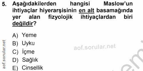 5. soru: Aşağıdakilerden hangisi Maslow'un ihtiyaçlar hiyerarşisinin en alt basamağında yer alan fizyolojik ihtiyaçlardan biri…