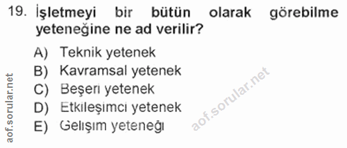 19. soru: İşletmeyi bir bütün olarak görebilme yeteneğine ne ad verilir? A) Teknik yetenek B) Kavramsal yetenek C) Beşeri yeten…