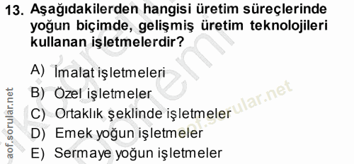 13. soru: Aşağıdakilerden hangisi üretim süreçlerinde yoğun biçimde, gelişmiş üretim teknolojileri kullanan işletmelerdir? A) İ…