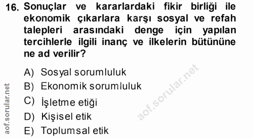 16. soru: Sonuçlar ve kararlardaki fikir birliği ile ekonomik çıkarlara karşı sosyal ve refah talepleri arasındaki denge için y…