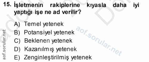 15. soru: İşletmenin rakiplerine kıyasla daha iyi yaptığı işe ne ad verilir? A) Temel yetenek B) Potansiyel yetenek C) Beklenen…