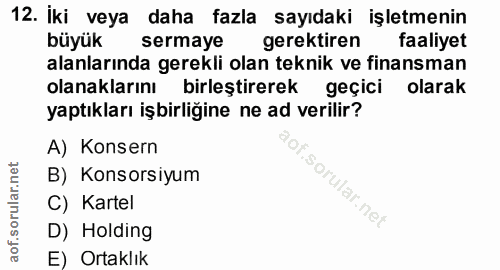 12. soru: İki veya daha fazla sayıdaki işletmenin büyük sermaye gerektiren faaliyet alanlarında gerekli olan teknik ve finansma…