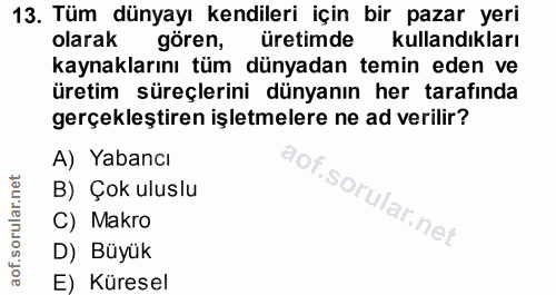 13. soru: Tüm dünyayı kendileri için bir pazar yeri olarak gören, üretimde kullandıkları kaynaklarını tüm dünyadan temin eden v…