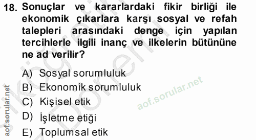 18. soru: Sonuçlar ve kararlardaki fikir birliği ile ekonomik çıkarlara karşı sosyal ve refah talepleri arasındaki denge için y…