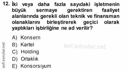 12. soru: İki veya daha fazla sayıdaki işletmenin büyük sermaye gerektiren faaliyet alanlarında gerekli olan teknik ve finansma…
