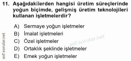 11. soru: Aşağıdakilerden hangisi üretim süreçlerinde yoğun biçimde, gelişmiş üretim teknolojileri kullanan işletmelerdir? A) S…