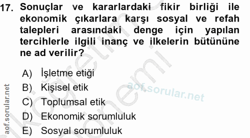 17. soru: Sonuçlar ve kararlardaki fikir birliği ile ekonomik çıkarlara karşı sosyal ve refah talepleri arasındaki denge için y…