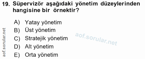 19. soru: Süpervizör aşağıdaki yönetim düzeylerinden hangisine bir örnektir? A) Yatay yönetim B) Üst yönetim C) Stratejik yönet…