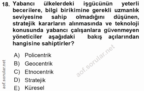 18. soru: Yabancı ülkelerdeki işgücünün yeterli becerilere, bilgi birikimine gerekli uzmanlık seviyesine sahip olmadığını düşün…
