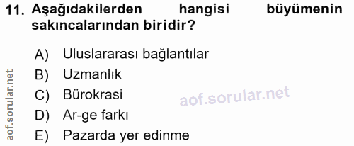 11. soru: Aşağıdakilerden hangisi büyümenin sakıncalarından biridir? A) Uluslararası bağlantılar B) Uzmanlık C) Bürokrasi D) Ar…
