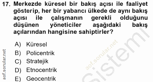 17. soru: Merkezde küresel bir bakış açısı ile faaliyet gösterip, her bir yabancı ülkede de aynı bakış açısı ile çalışmanın ger…