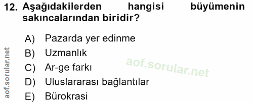 12. soru: Aşağıdakilerden hangisi büyümenin sakıncalarından biridir? A) Pazarda yer edinme B) Uzmanlık C) Ar-ge farkı D) Ulusla…