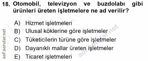 18. soru: Otomobil, televizyon ve buzdolabı gibi ürünleri üreten işletmelere ne ad verilir? A) Hizmet işletmeleri B) Ulusal kök…
