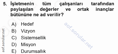 5. soru: Işletmenin tüm çalışanları tarafından paylaşılan değerler ve ortak inançlar bütününe ne ad verilir? A) Hedef B) Vizyo…