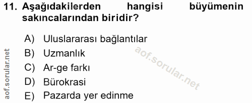 11. soru: Aşağıdakilerden hangisi büyümenin sakıncalarından biridir? A) Uluslararası bağlantılar B) Uzmanlık C) Ar-ge farkı D)…