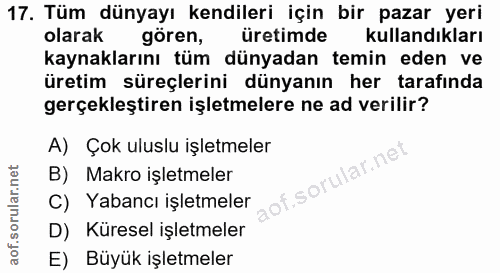 17. soru: Tüm dünyayı kendileri için bir pazar yeri olarak| gören, üretimde kullandıkları kaynaklarını tüm dünyadan temin eden…