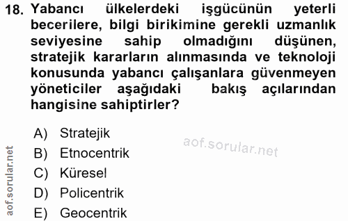 18. soru: Yabancı ülkelerdeki işgücünün yeterli becerilere, bilgi birikimine gerekli uzmanlık seviyesine sahip olmadığını düşün…