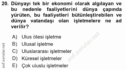 20. soru: Dünyayı tek bir ekonomi olarak algılayan ve bu nedenle faaliyetlerini dünya çapında yürüten, bu faaliyetleri bütünleş…
